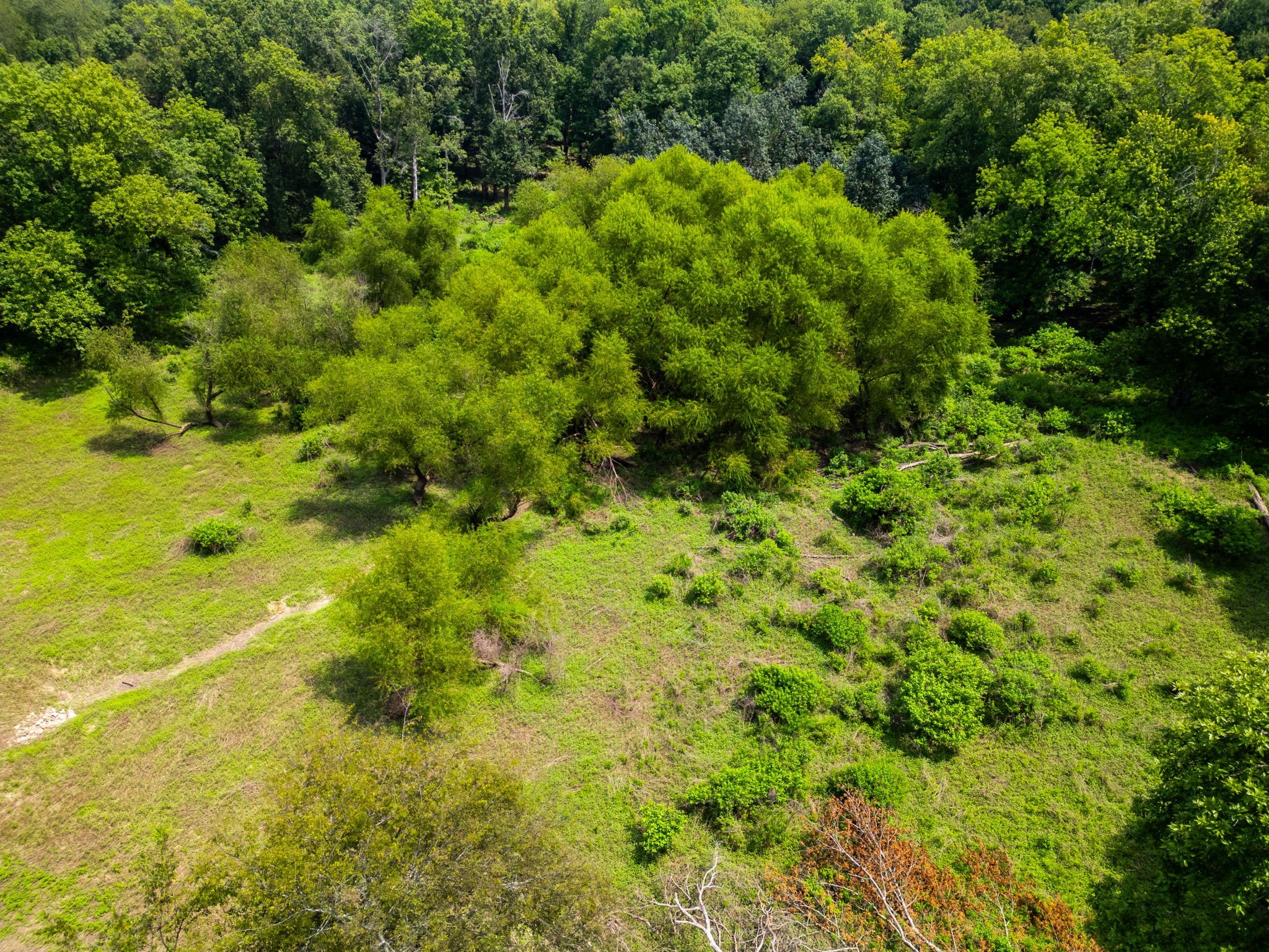5016 Caney Sink Road Adams, TN 37010 - Photo 46 of 56