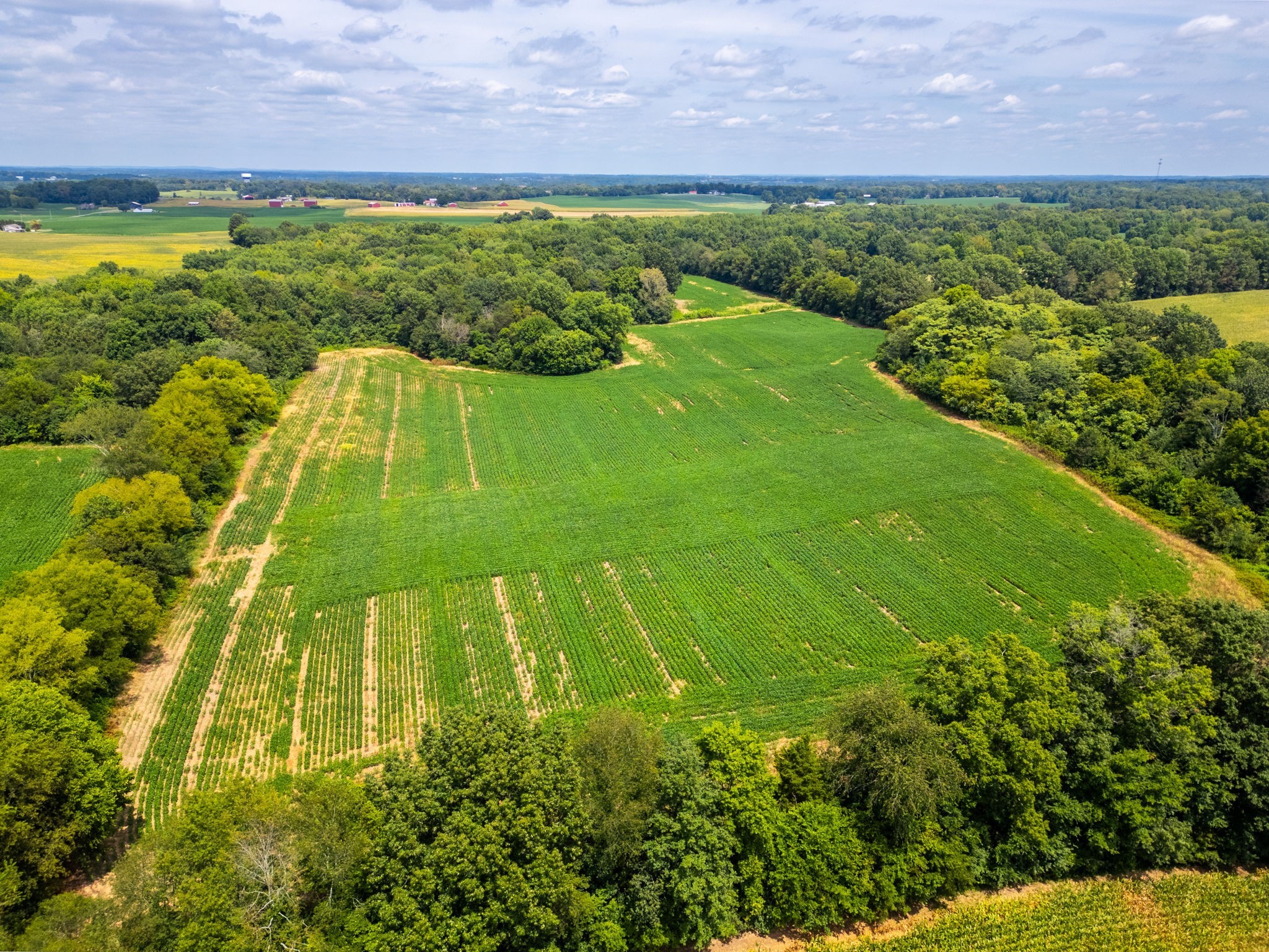 5016 Caney Sink Road Adams, TN 37010 - Photo 47 of 56