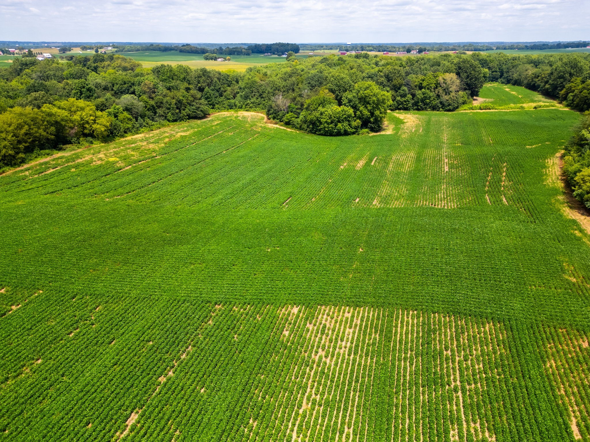 5016 Caney Sink Road Adams, TN 37010 - Photo 49 of 56