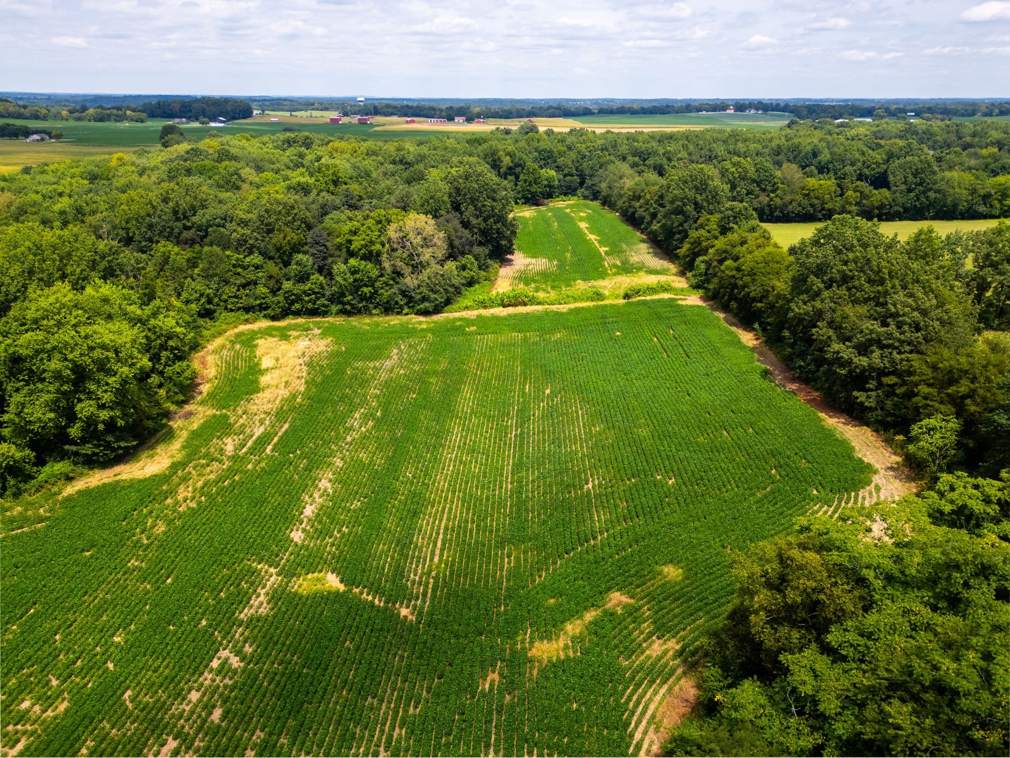 5016 Caney Sink Road Adams, TN 37010 - Photo 51 of 56