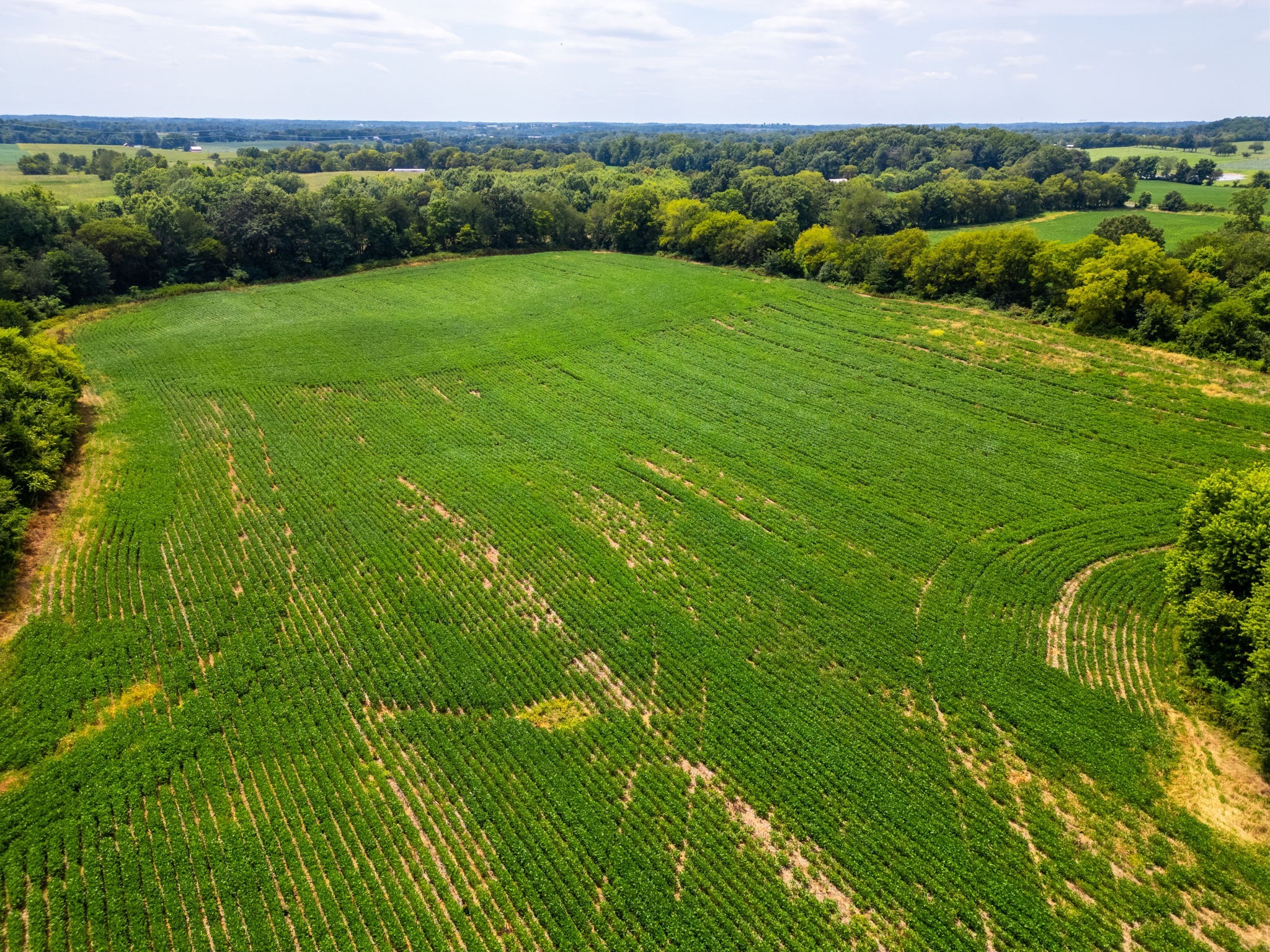 5016 Caney Sink Road Adams, TN 37010 - Photo 52 of 56