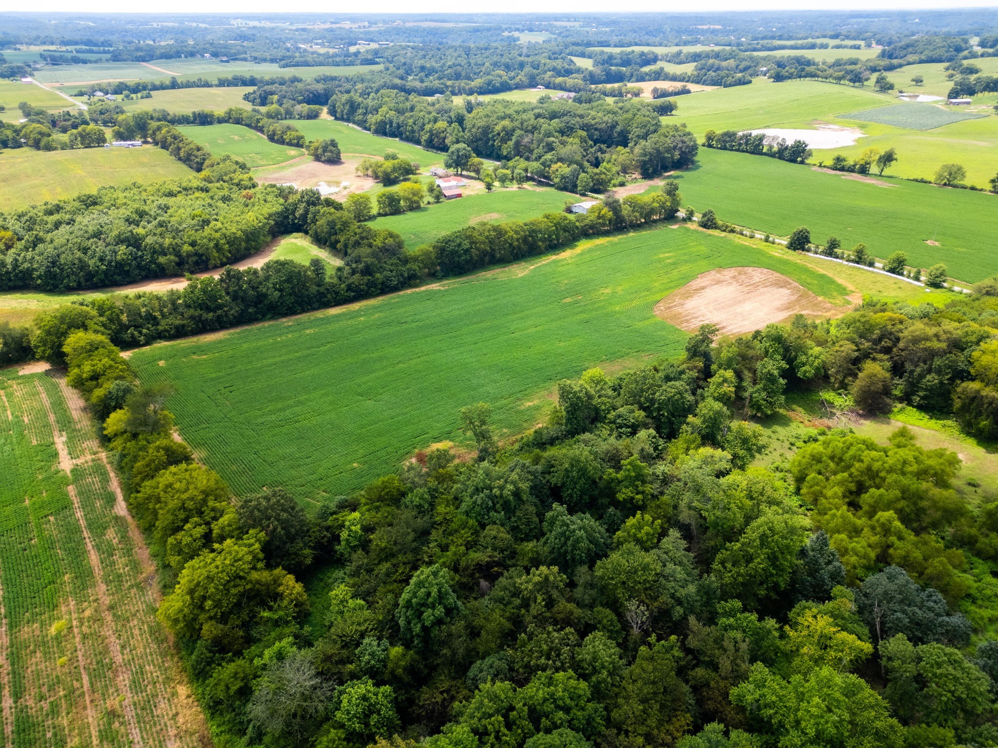 5016 Caney Sink Road Adams, TN 37010 - Photo 54 of 56
