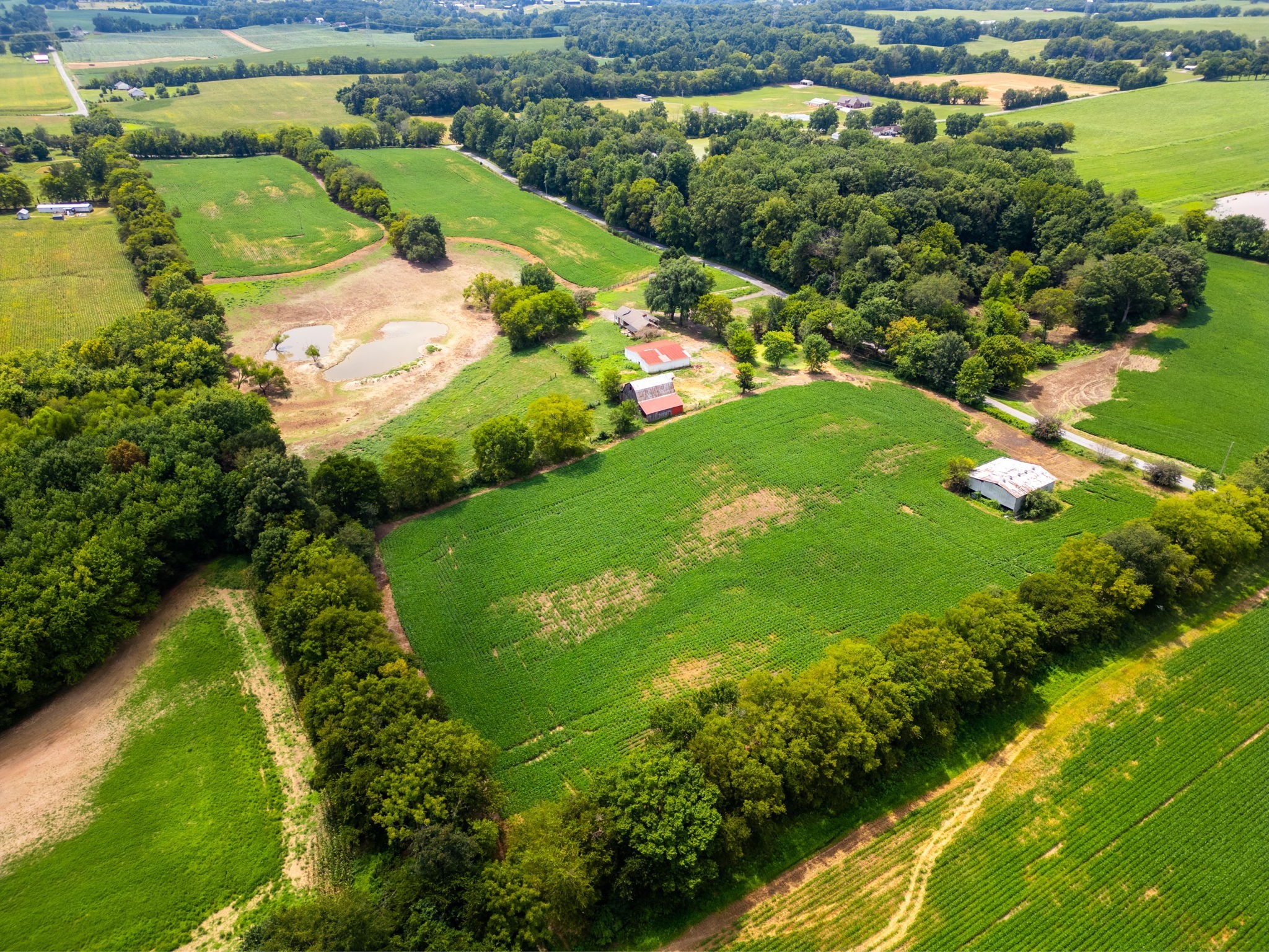 5016 Caney Sink Road Adams, TN 37010 - Photo 55 of 56