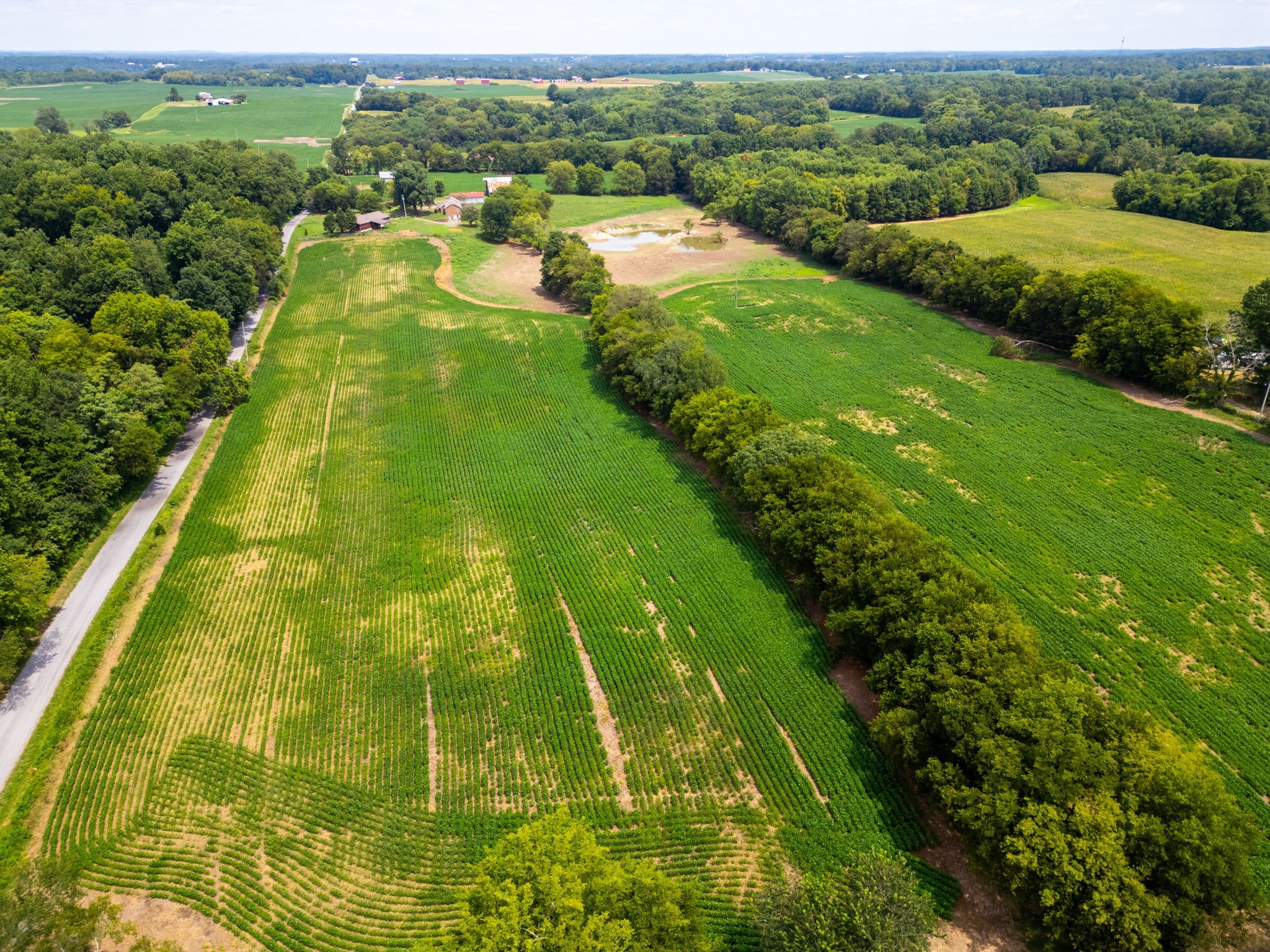 5016 Caney Sink Road Adams, TN 37010 - Photo 6 of 56