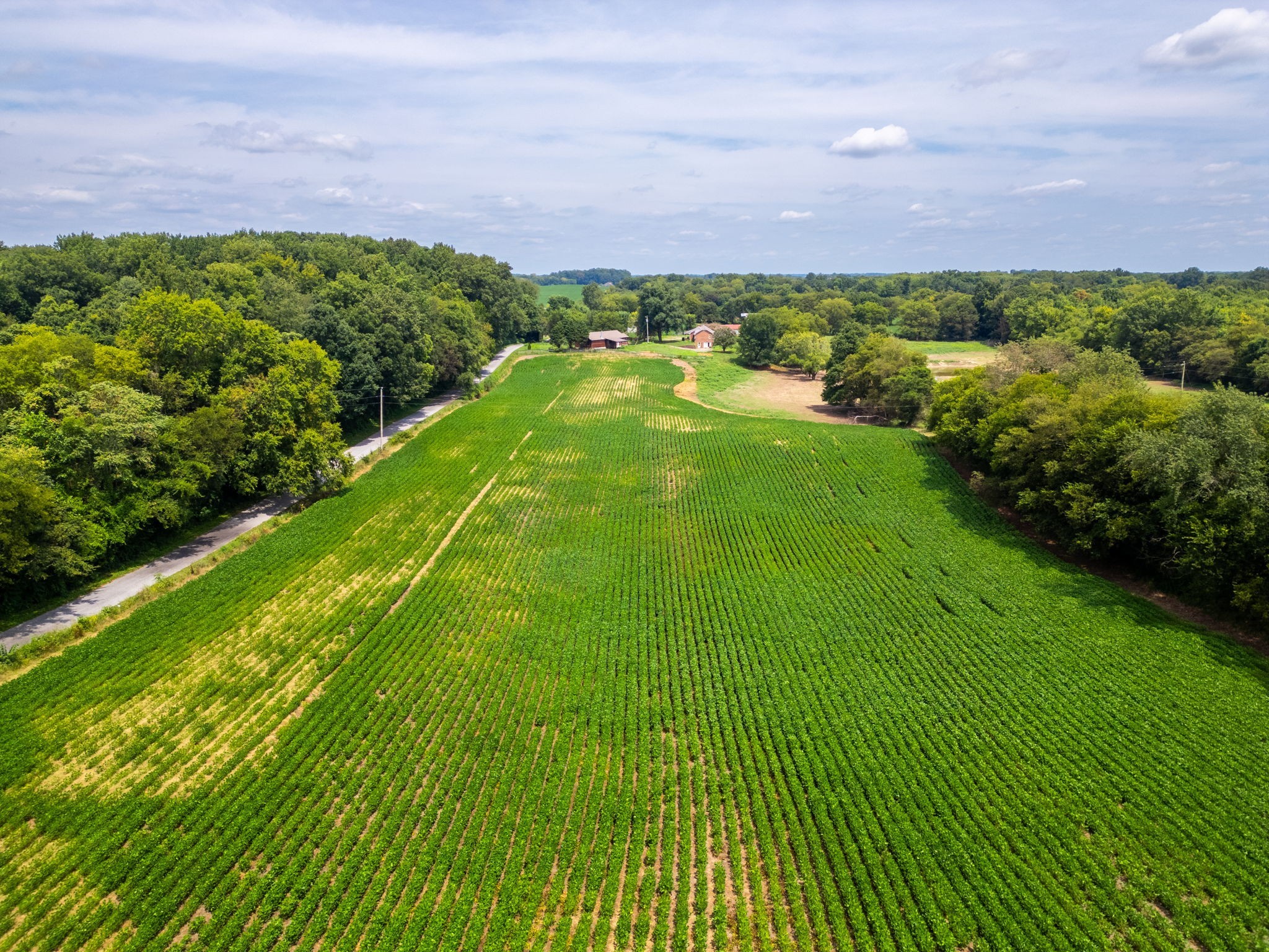5016 Caney Sink Road Adams, TN 37010 - Photo 7 of 56