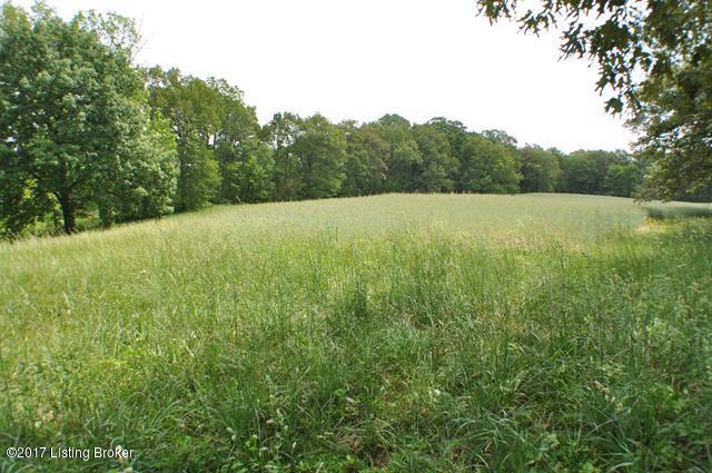 2310 Garrett Road Brandenburg, KY 40108 - Photo 37 of 43 DSC_0036 (2) (Copy)