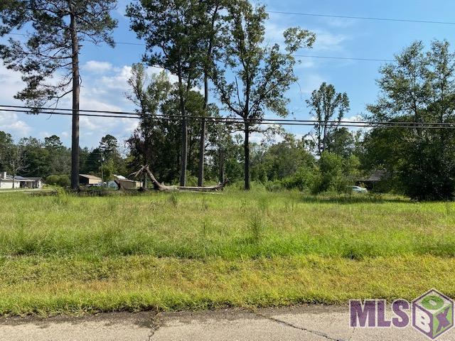 Tbd Hood Road Denham Springs, LA 70726 - Photo 1 of 5 Gallery Image 1