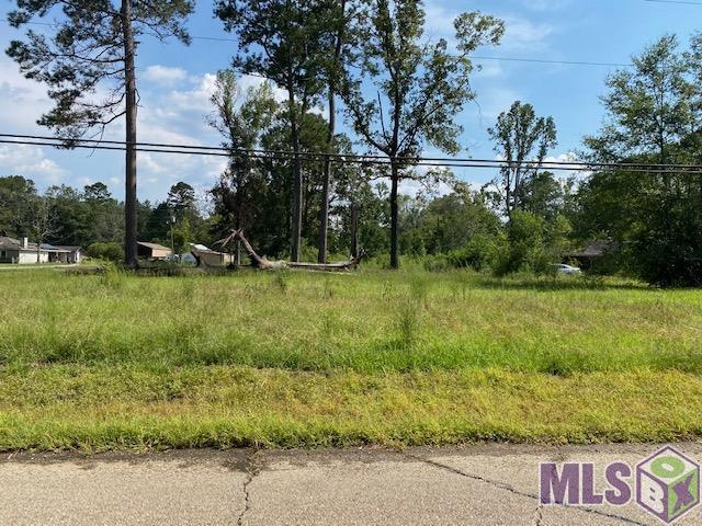 Tbd Hood Road Denham Springs, LA 70726 - Photo 2 of 5 Gallery Image 2