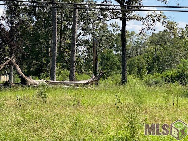 Tbd Hood Road Denham Springs, LA 70726 - Photo 3 of 5 Gallery Image 3