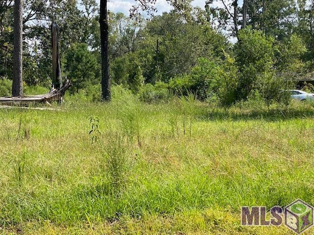 Tbd Hood Road Denham Springs, LA 70726 - Photo 4 of 5 Gallery Image 4