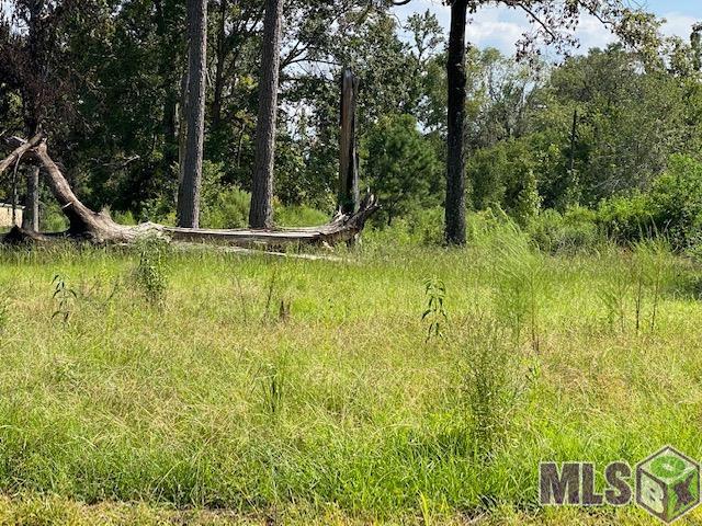 Tbd Hood Road Denham Springs, LA 70726 - Photo 5 of 5 Gallery Image 5