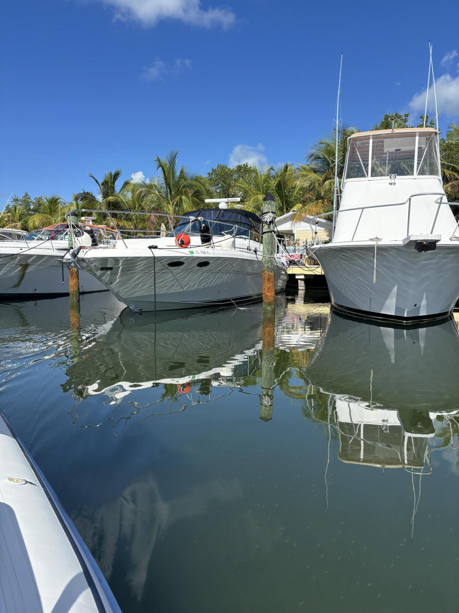a view of a lake with boats