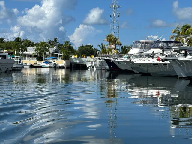 a view of water with boats and trees in the background