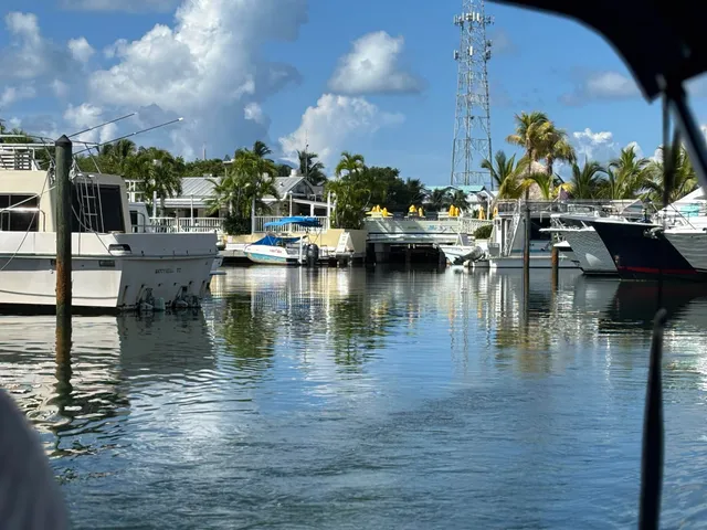 a view of swimming pool with outdoor seating and plants