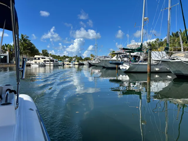 a view of a lake with a building in the background