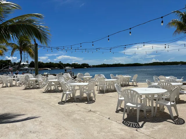 a view of a lake with boats and trees