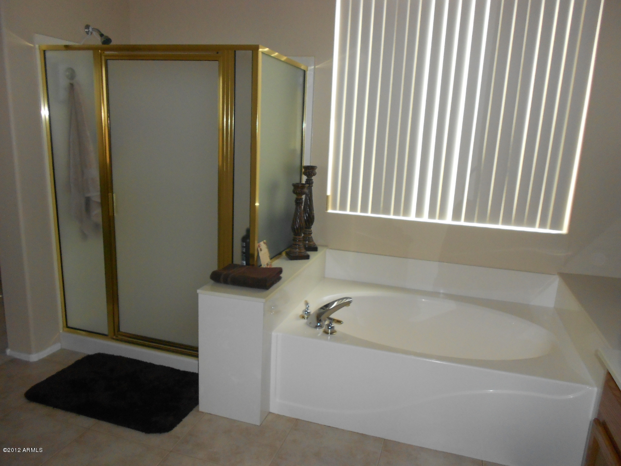 1121 South Roles Drive Gilbert, AZ 85296 - Photo 28 of 51 DSCN1742