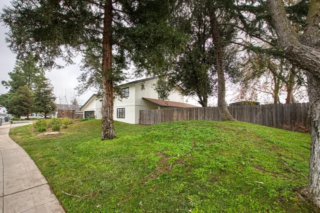 a view of a yard with a tree