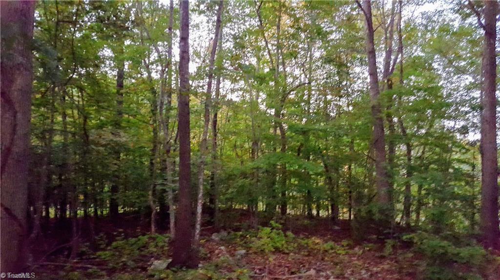 0 George York Road Randleman, NC 27317 - Photo 1 of 1 Beautiful conveniently located acreage ready for your dream home.