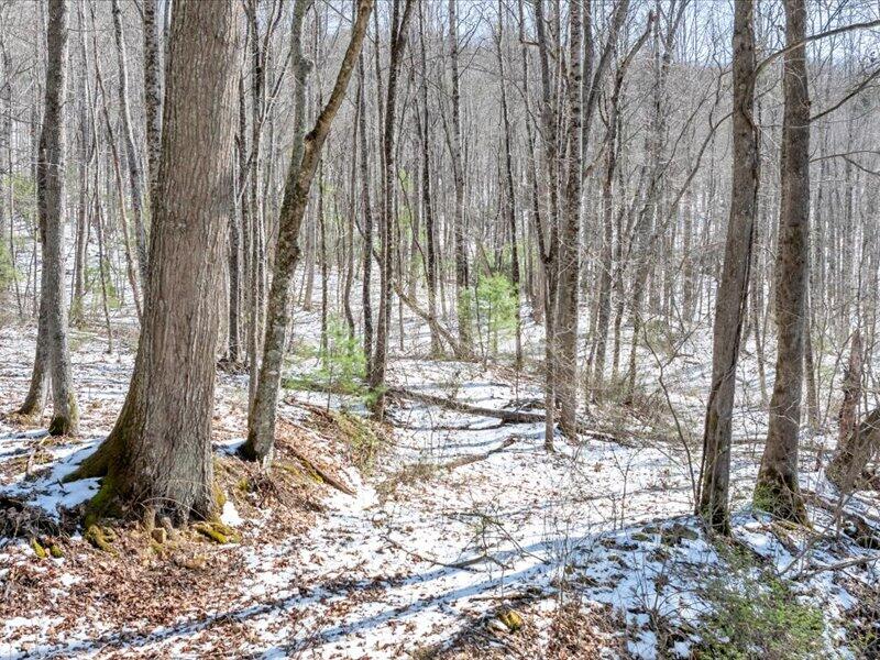 0 Sugar Run Road Northeast Copper Hill, VA 24079 - Photo 13 of 36 a view of a yard with plants and trees