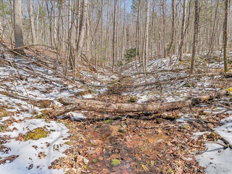 0 Sugar Run Road Northeast Copper Hill, VA 24079 - Photo 17 of 36 27-MIB01139