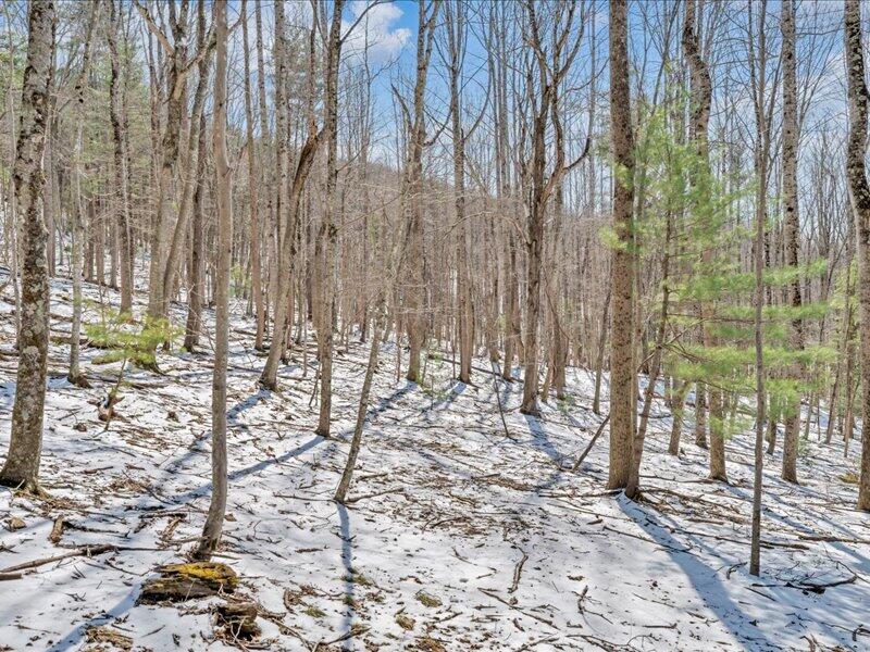 0 Sugar Run Road Northeast Copper Hill, VA 24079 - Photo 21 of 36 a view of a backyard of the house