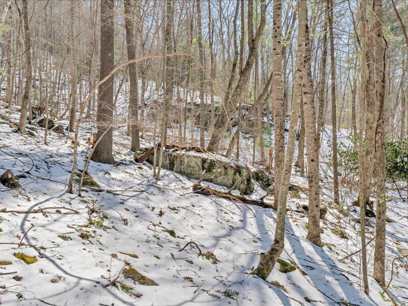 0 Sugar Run Road Northeast Copper Hill, VA 24079 - Photo 22 of 36 a view of outdoor space with garden