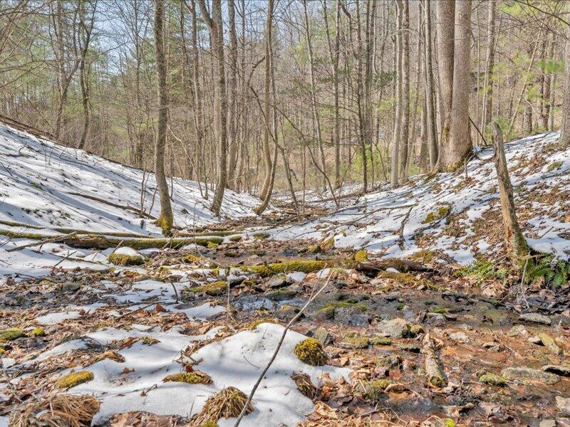 0 Sugar Run Road Northeast Copper Hill, VA 24079 - Photo 25 of 36 a view of a backyard of the house