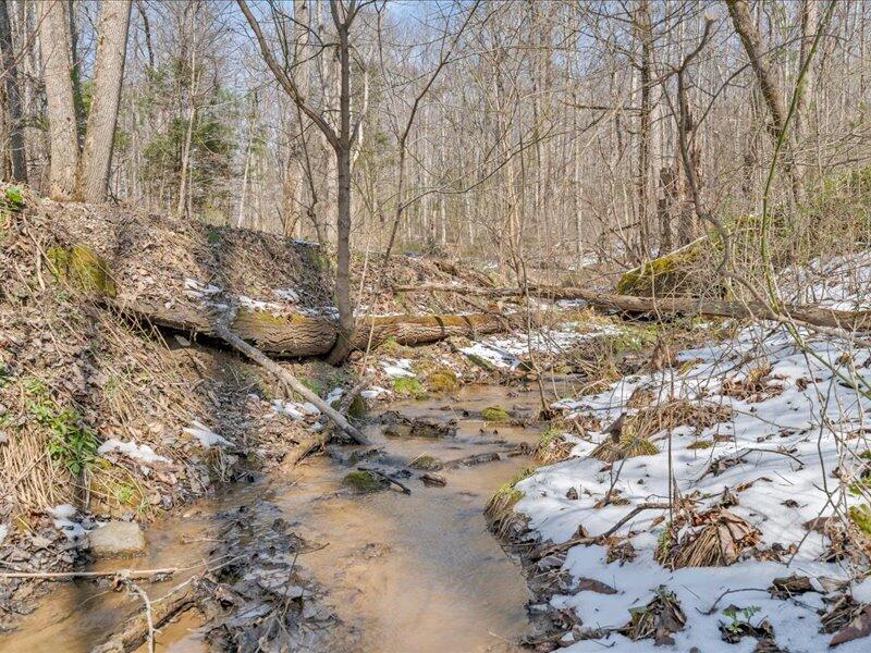 0 Sugar Run Road Northeast Copper Hill, VA 24079 - Photo 26 of 36 36-MIB01175