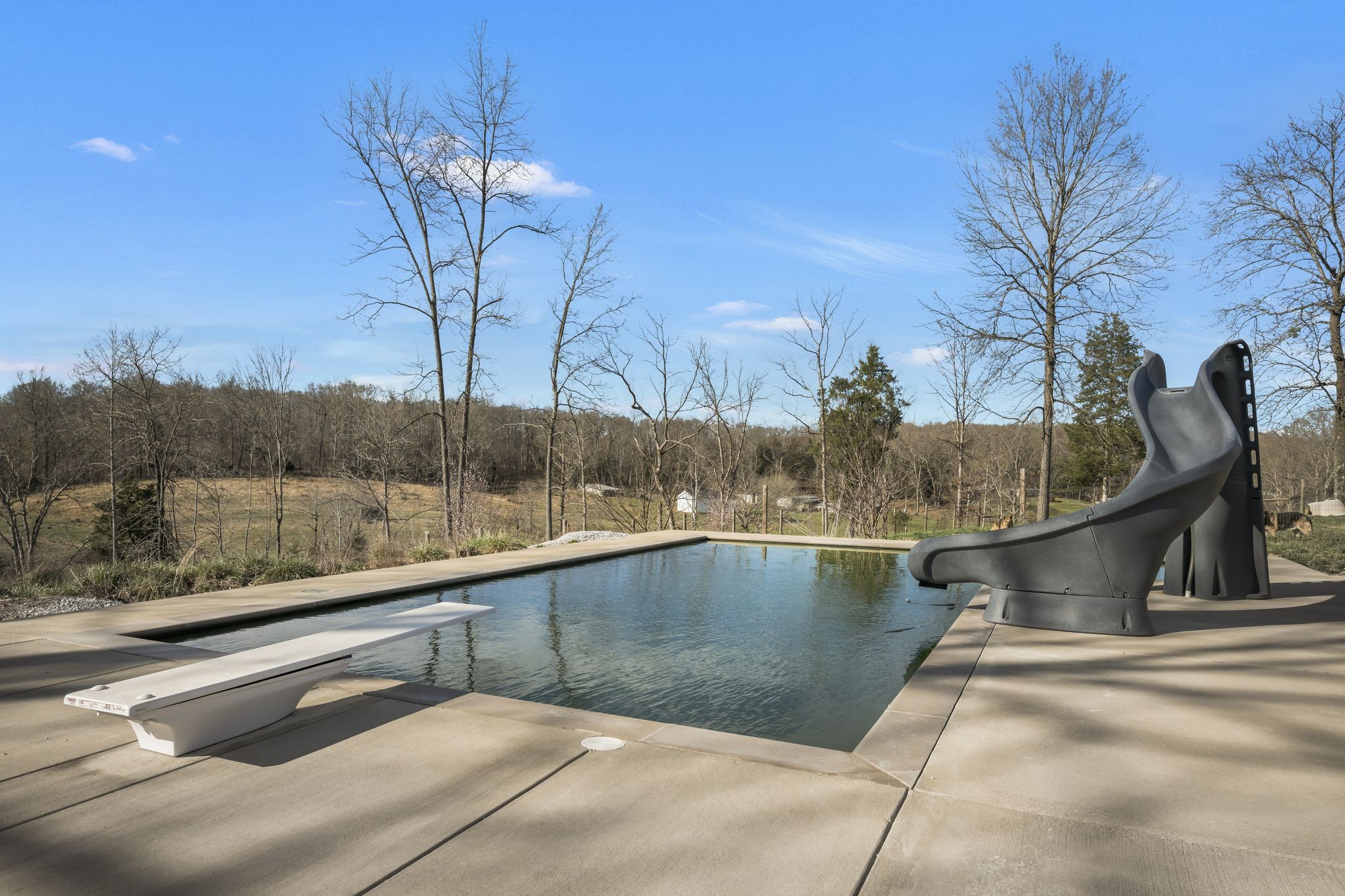 1053 Hall Cemetery Road Burns, TN 37029 - Photo 35 of 64 a view of swimming pool with a lake view