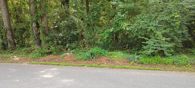 $145,000 | 0 Oak Drive, Summerville, SC 29483