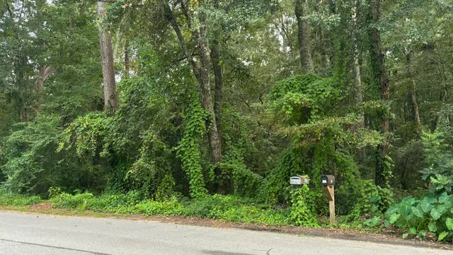 $145,000 | 0 Oak Drive, Summerville, SC 29483