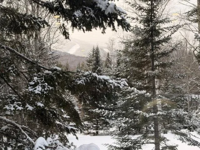 $2,100 | 15 West A W Branch Road, Waterville Valley, NH 03215