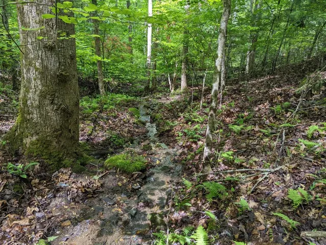 $19,900 | Tbd Heritage Trail, Brasstown, NC 28902