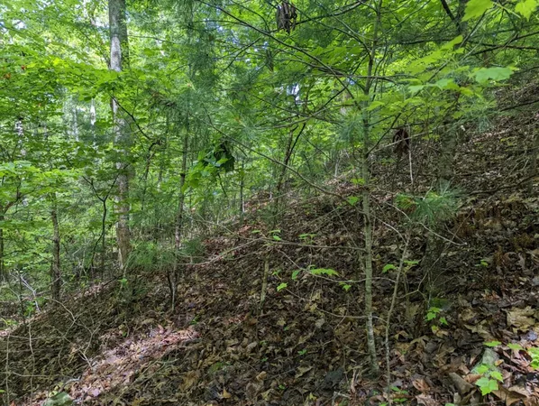 $19,900 | Tbd Heritage Trail, Brasstown, NC 28902