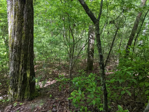 $19,900 | Tbd Heritage Trail, Brasstown, NC 28902