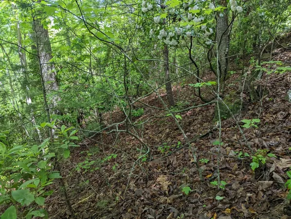 $19,900 | Tbd Heritage Trail, Brasstown, NC 28902