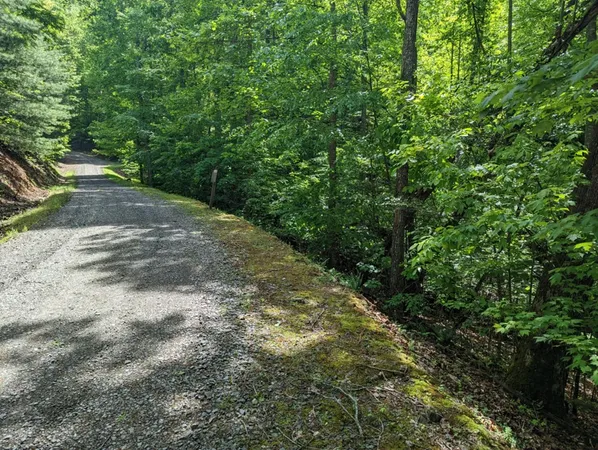 $19,900 | Tbd Heritage Trail, Brasstown, NC 28902