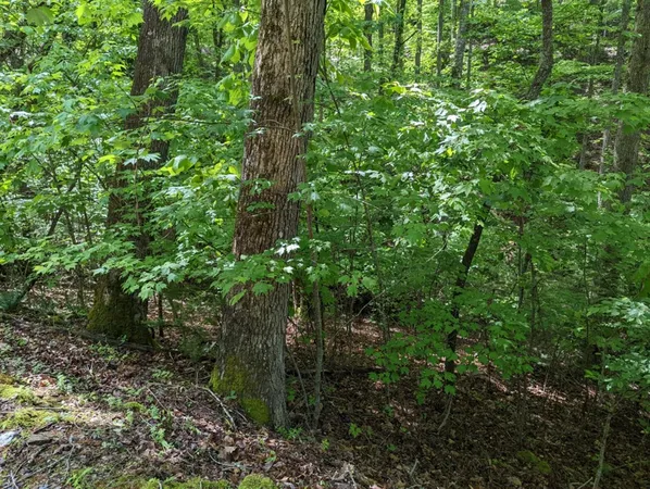 $19,900 | Tbd Heritage Trail, Brasstown, NC 28902