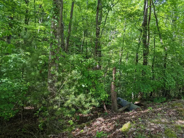 $19,900 | Tbd Heritage Trail, Brasstown, NC 28902
