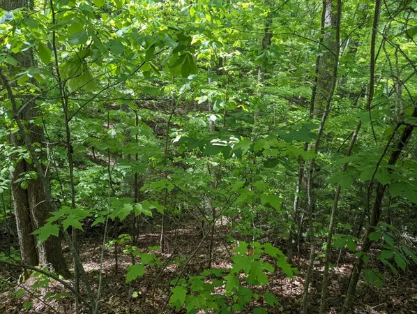 $19,900 | Tbd Heritage Trail, Brasstown, NC 28902