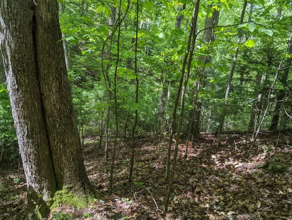 $19,900 | Tbd Heritage Trail, Brasstown, NC 28902