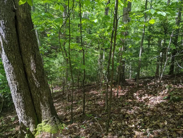 $19,900 | Tbd Heritage Trail, Brasstown, NC 28902