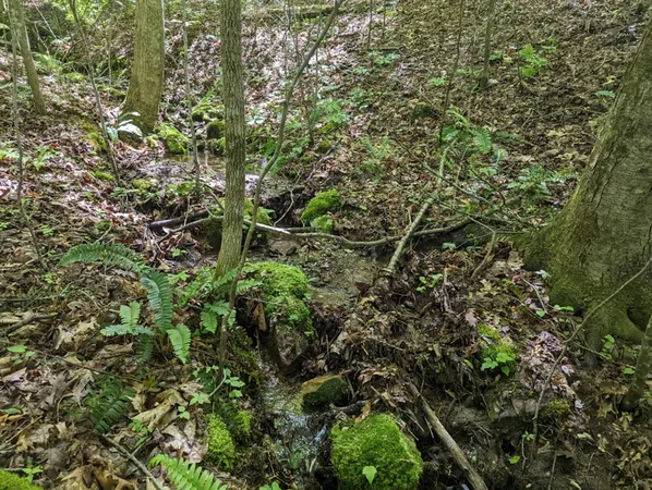 $19,900 | Tbd Heritage Trail, Brasstown, NC 28902