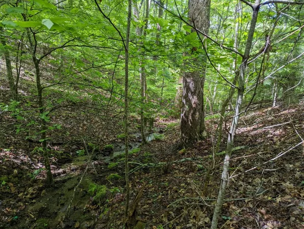$19,900 | Tbd Heritage Trail, Brasstown, NC 28902