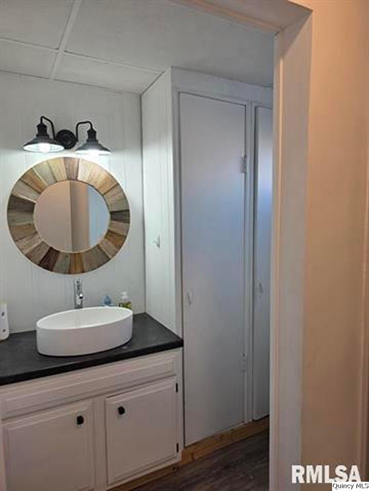 1431 Spruce Street Quincy, IL 62301 - Photo 19 of 36 a bathroom with a sink and a mirror