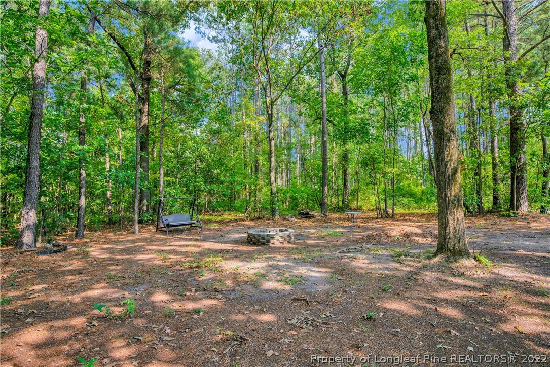 289 Overlake Road Raeford, NC 28376 - Photo 36 of 42 Gallery Image 36