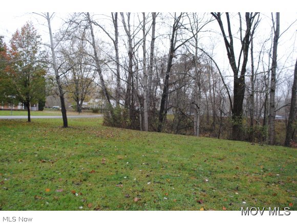 73 Mill Stream Road Walker, WV 26180 - Photo 24 of 24