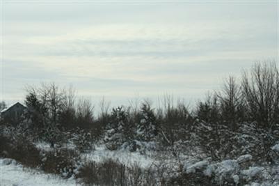 North Snow Prairie Road Coldwater, MI 49036 - Photo 2 of 3 Additional Photo