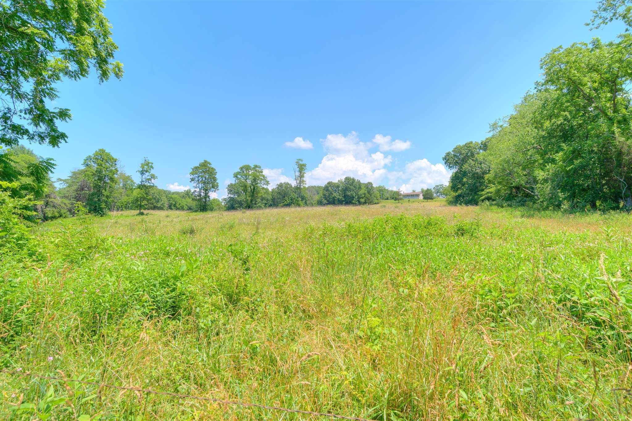Lot 38 Old Ferry Road Hiwassee, VA 24347 - Photo 2 of 12 Gallery Image 2